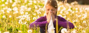 Hay Fever | Allergy UK | National Charity